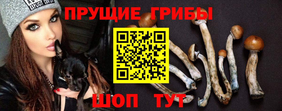 Галлюциногенные грибы Psilocybine cubensis Ростов-на-Дону