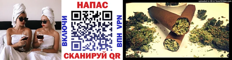 Шишки марихуана гибрид  где найти наркотики  Ростов-на-Дону 